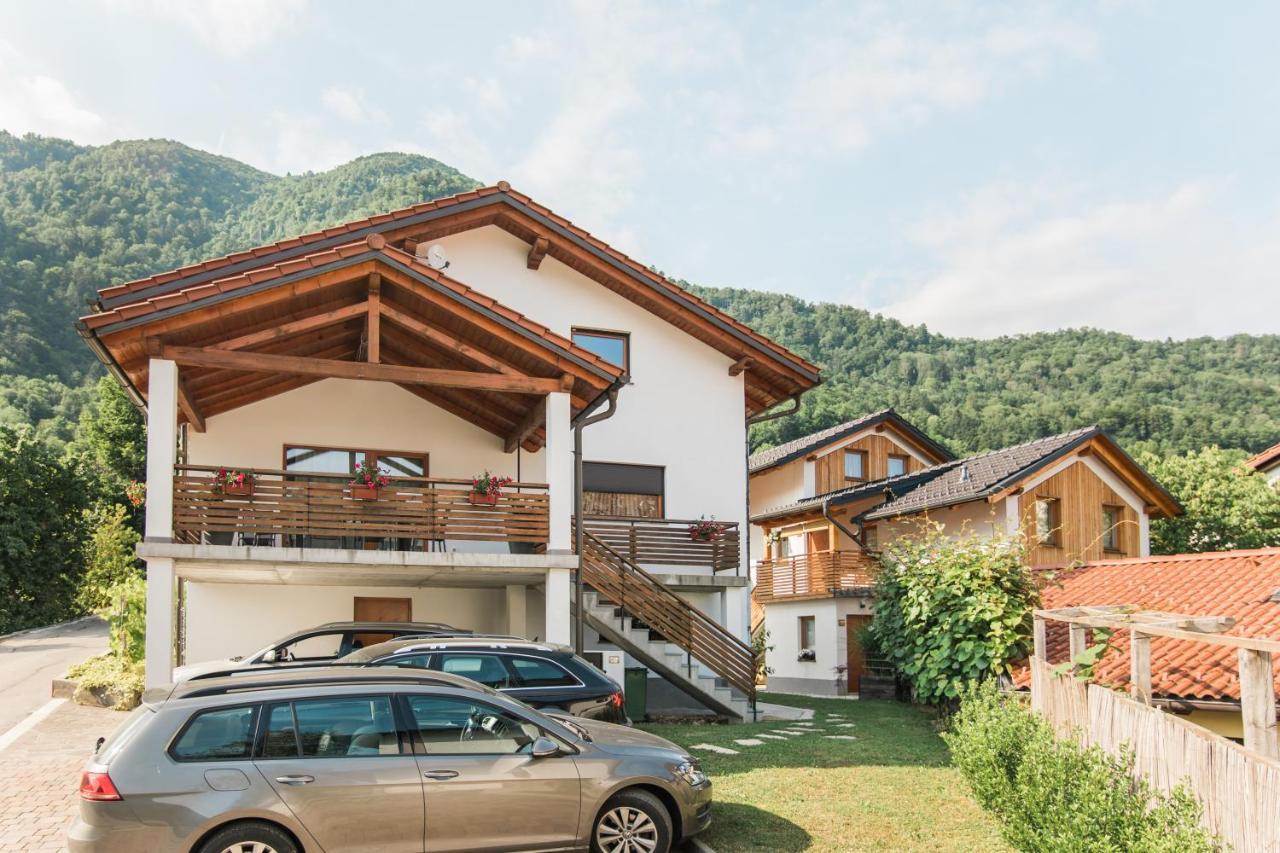 Pr' Petrcu * Tolmin
